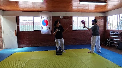 Academia Taekwondo Orión (Kukkiwon y WT)