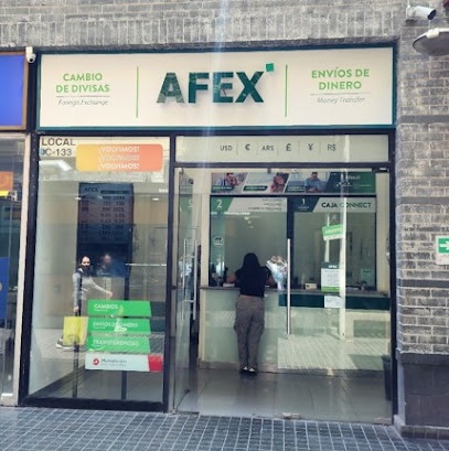 AFEX Mall Plaza Vespucio, Florida 2