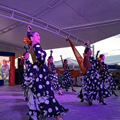 Artemis Arte Flamenco y Danza