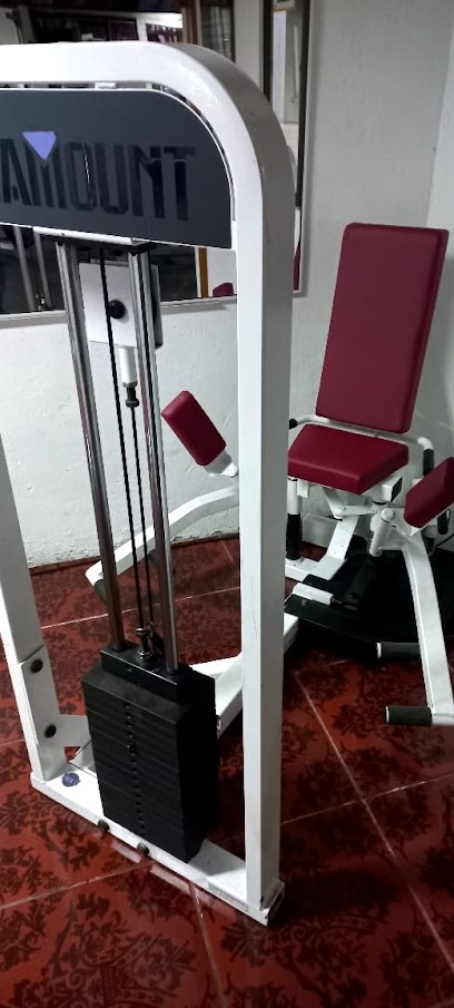 Bodyaction Gimnasio