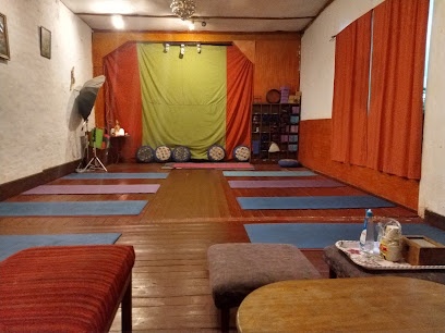 Centro De Yoga Vida Sana