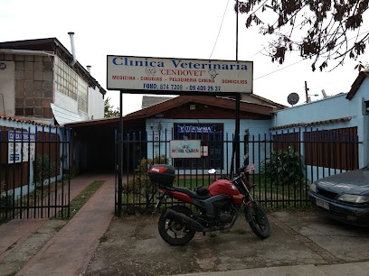 CLÍNICA VETERINARIA 
