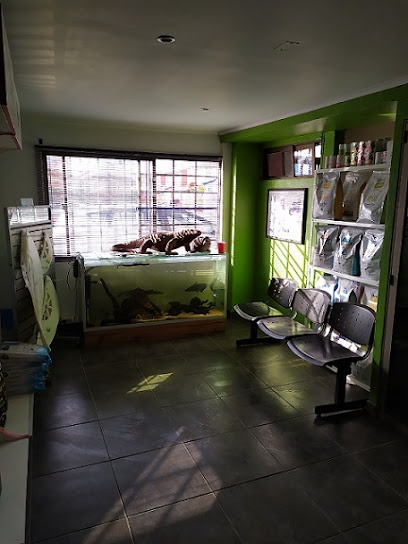 Clínica Veterinaria Exohouse