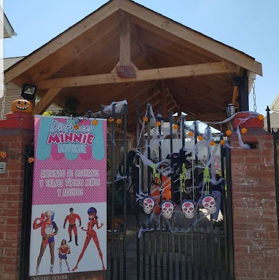 Disfraces Minnie boutique18