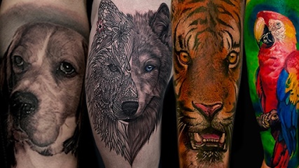 Harmony Colours Tattoo Studio