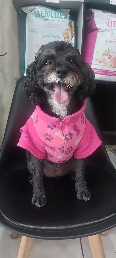 Mi Mascota