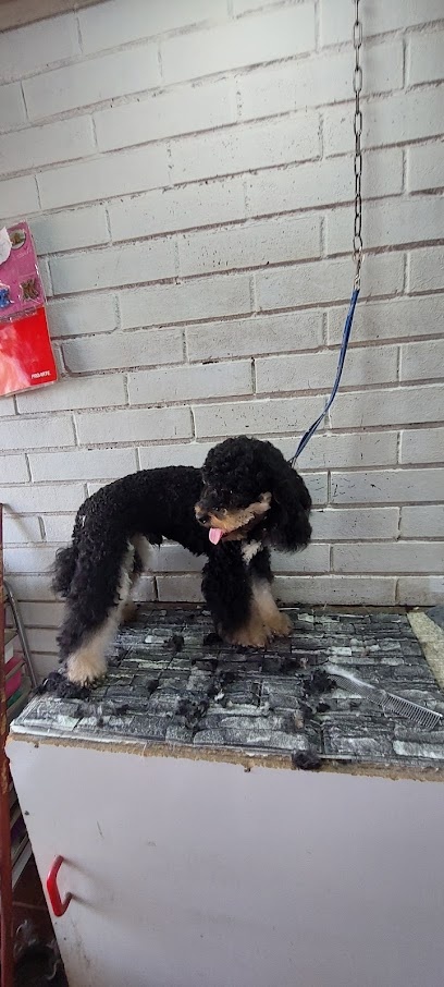 Peluquería canina Estilo Nipón
