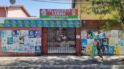 Peluquería canina 
