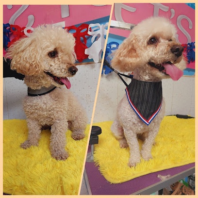 Peluquería canina Salon Pet's