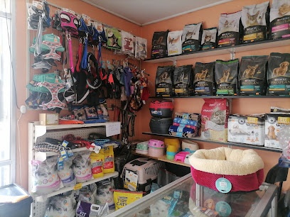 Veterinaria 