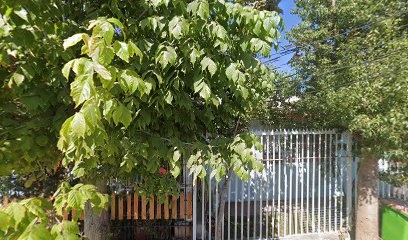 Alicia Herrera Abogada & Asociados