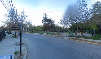 Bächler Paisajismo