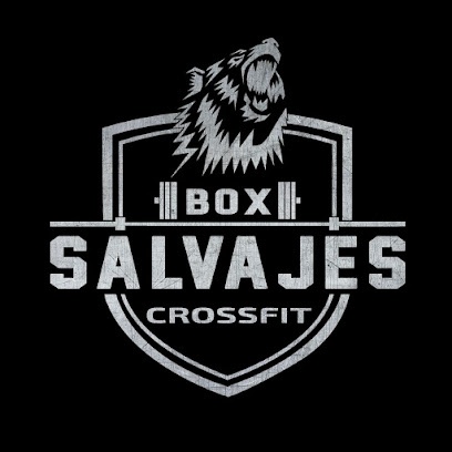 BoX Salvajes Crossfit Puente Alto.