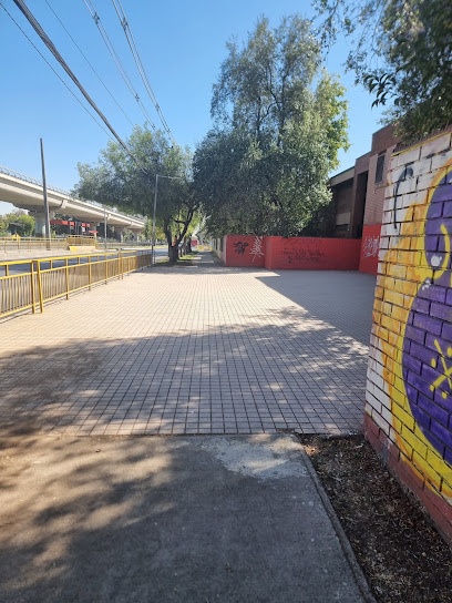 Colegio Los Nogales