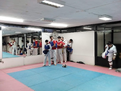 Escuela Husares TKD