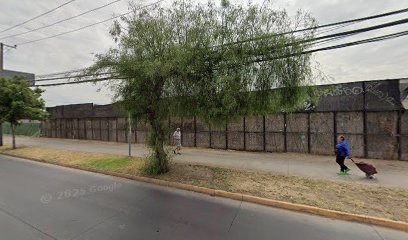 Examenes de Laboratorío