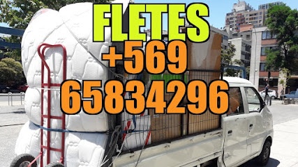 Fletes En Puente Alto Baratos Economicos