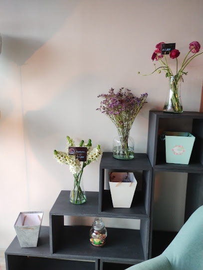 Floristería Colibrí