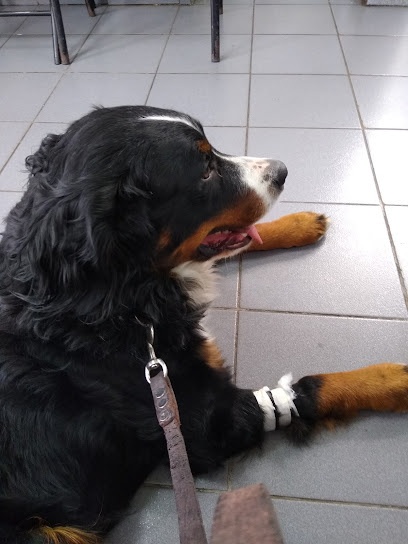 Hospital Veterinario Puente Alto
