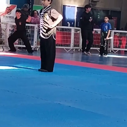 JUKSING KUNG FU - Puente Alto
