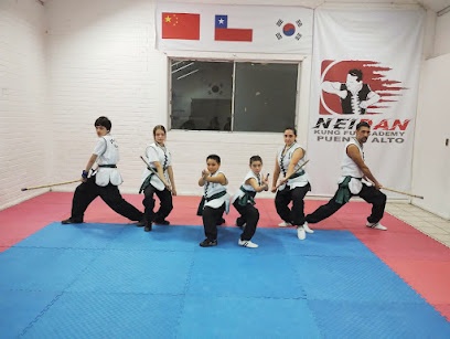 Nei Dan Kung Fu Academy, Sede Puente Alto