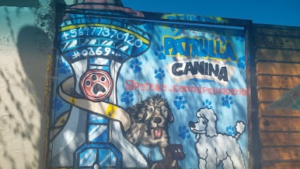 Peluqueria la patrulla canina
