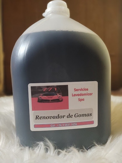 Servicios Lavadomicar Spa