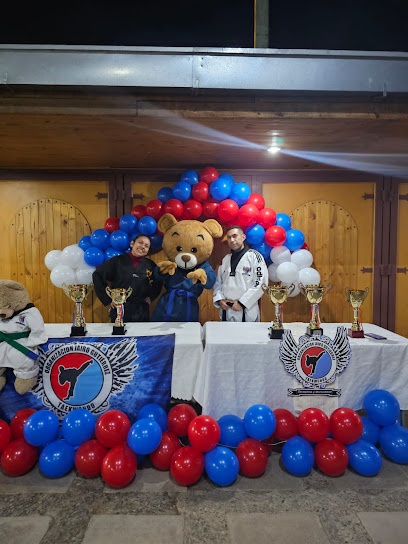 TAEKWONDO ORGANIZACION JAIRO GUTIÉRREZ