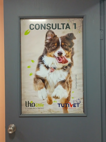 TutiVet Veterinarias