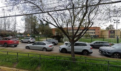 Universidad Mayor