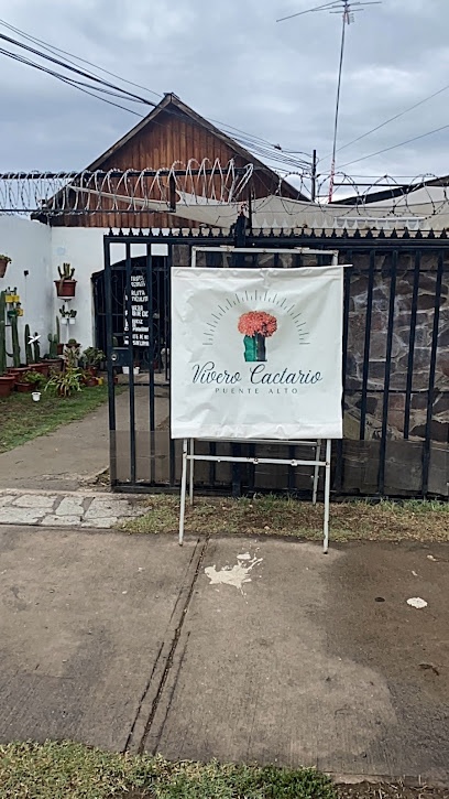 Vivero Cactario Puente Alto